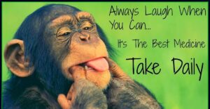 Read more about the article Just laugh with – Laughology